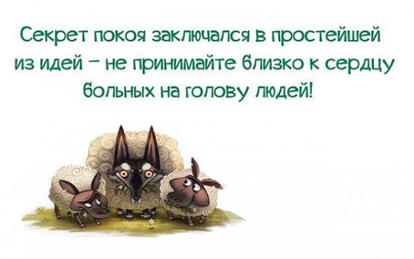 Угарные люди из соцсетей