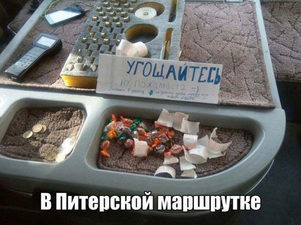 Приколы из жизни