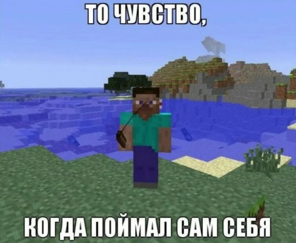 Мемы про майнкрафт