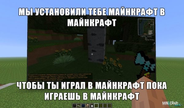 Мемы про майнкрафт