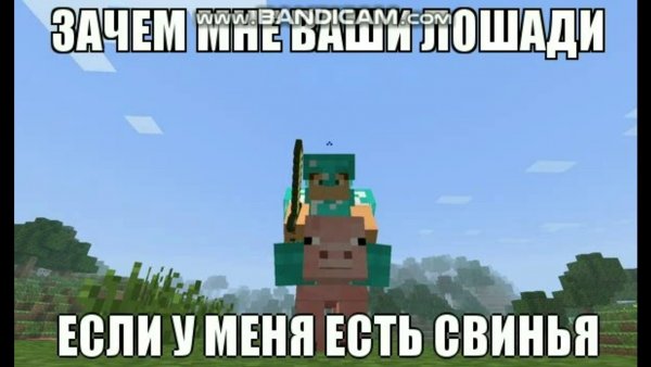 Мемы про майнкрафт