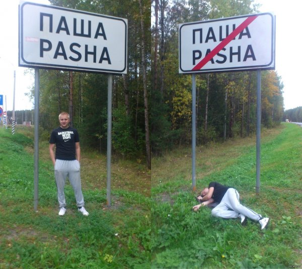 Шутки про Пашу