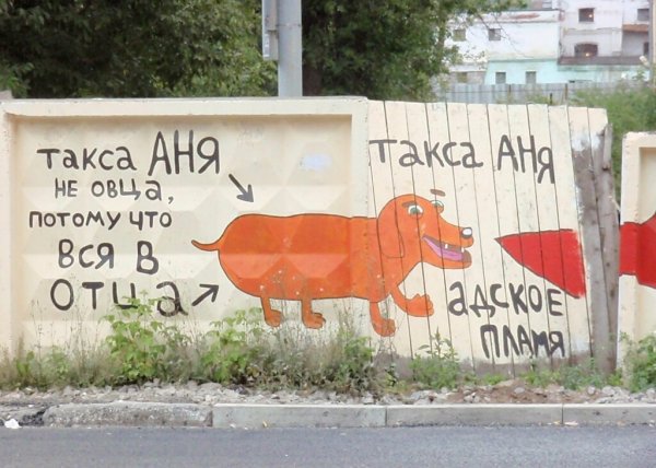 Приколы про Аню