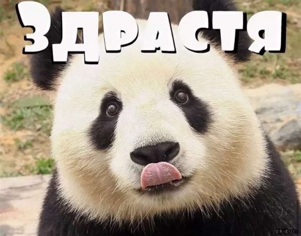Привет прикол