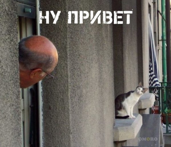 Приветствие с приколами смешные
