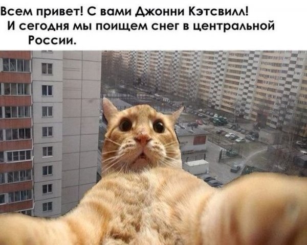 Джонни Кэтсвилл и Билли ДОГХАУС