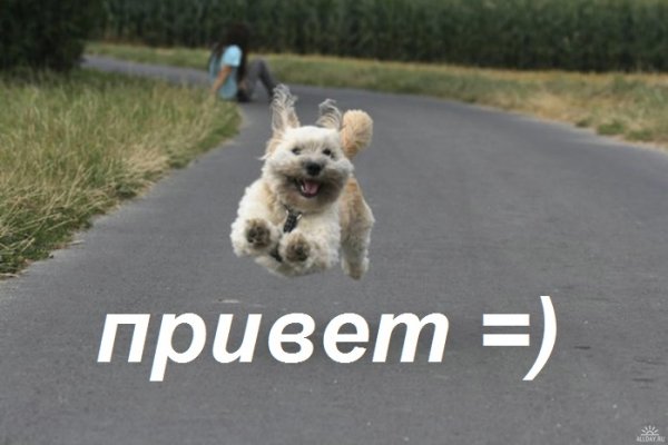 Привет привет
