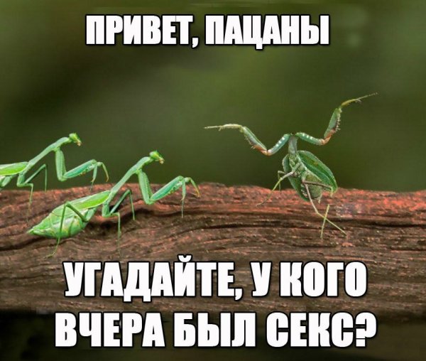 Здорова пацаны
