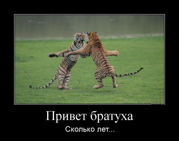 Прикольные демотиваторы привет