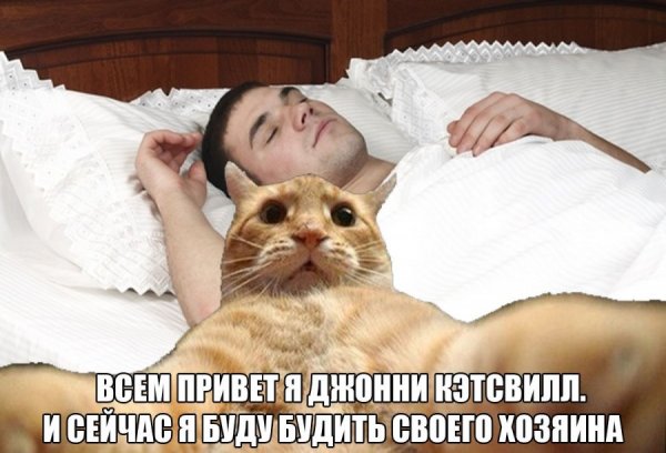 Джонни Кэтсвилл