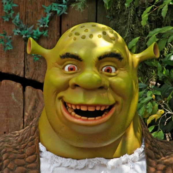 Чич Шрек
