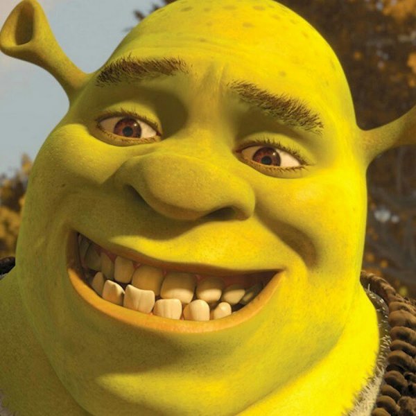 Шрек даун