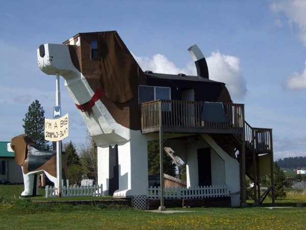 Отель Dog Bark Park Inn