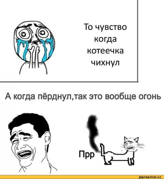Приколы с мемами