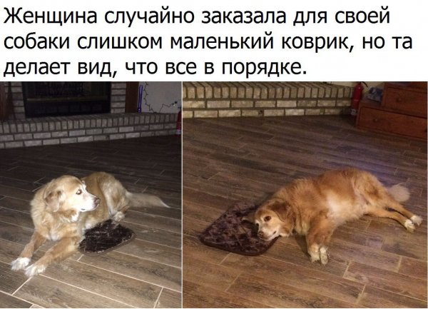 Приколы с надписями