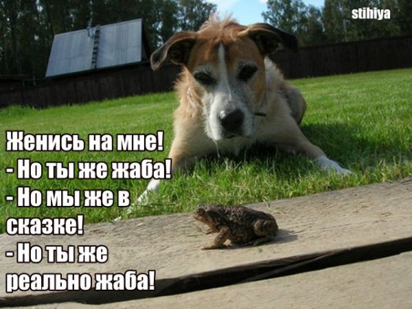 Угарные картинки с надписями