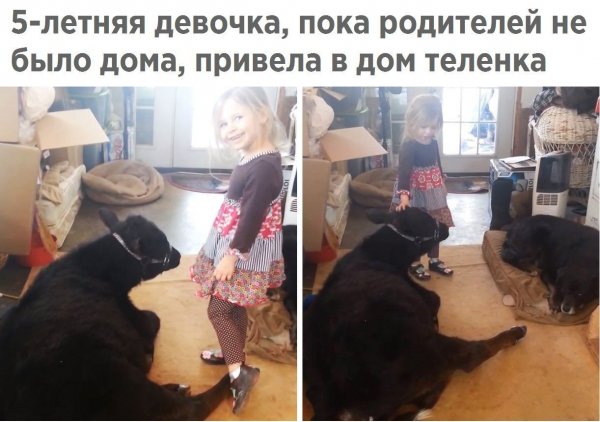 Смешные фото с надписями