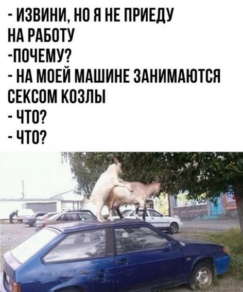 Смешные картинки с надписями