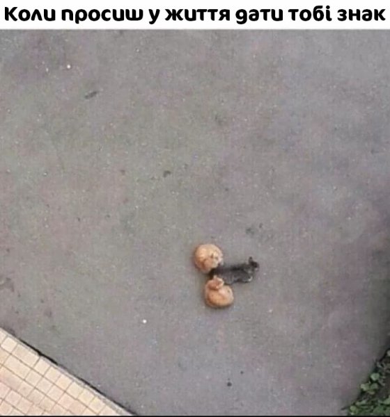 Ржачные надписи до слез