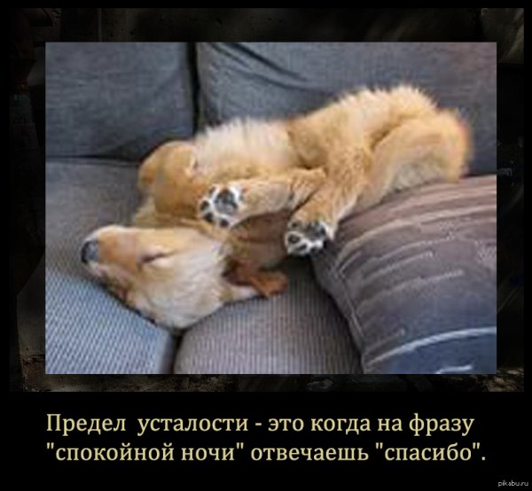 Спокойной ночи после трудного дня