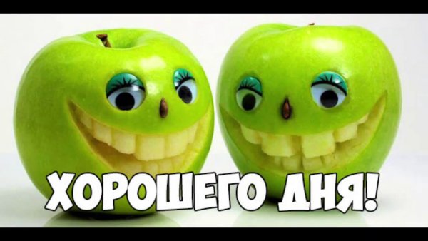 Всем хорошего дня прикол