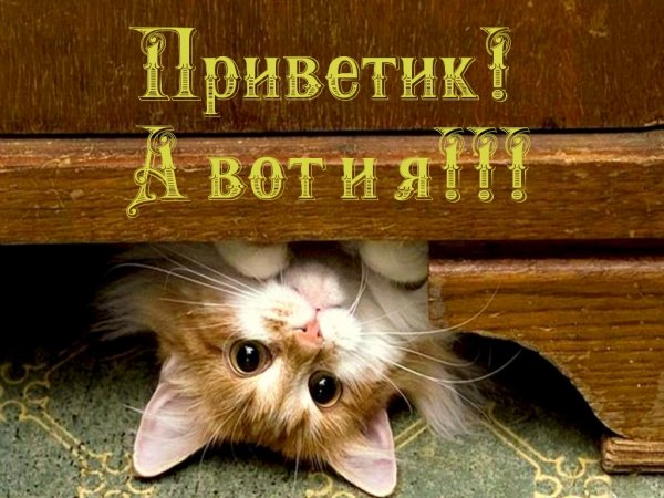 Приветик а вот и я