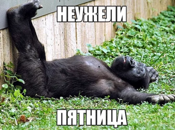 Устал отдыхать