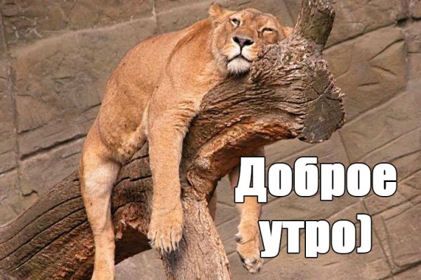 Доброе утро прикол