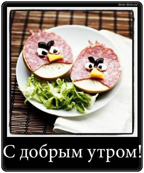 Ржачные открытки с добрым утром