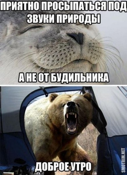 С добрым утром прикол