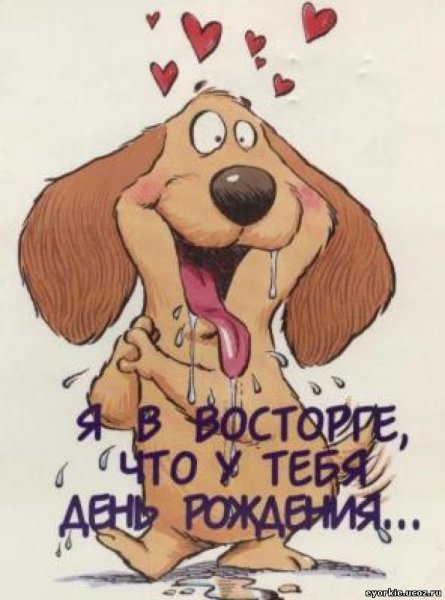 Смешные поздравления с днем рождения