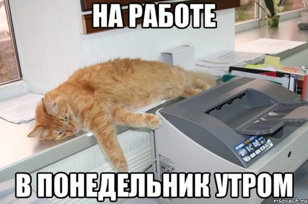Утро понедельника приколы