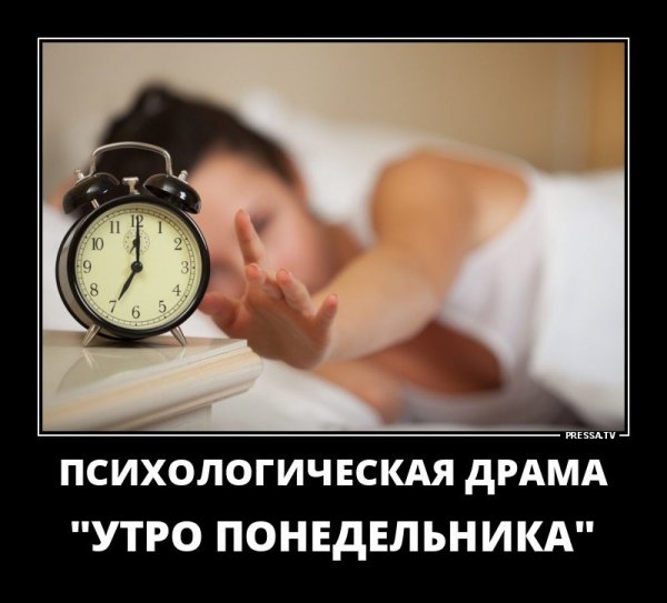 Утро понедельника