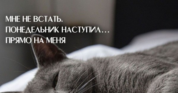 Понедельник наступил