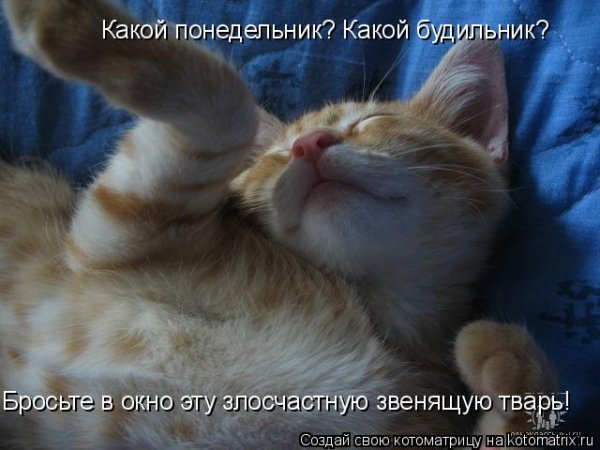 Понедельник неохота на работу