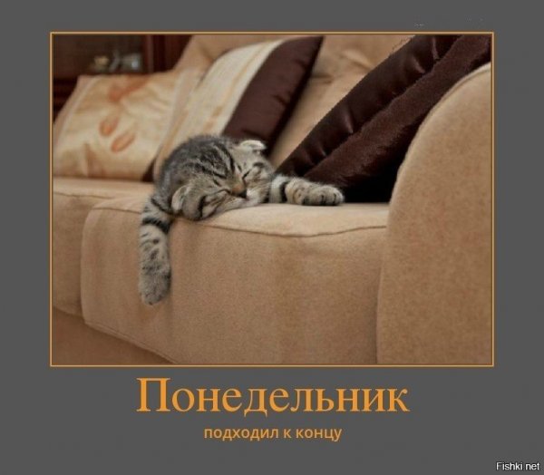 Понедельник приколы