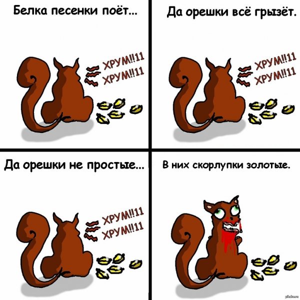 Анекдот про белочку