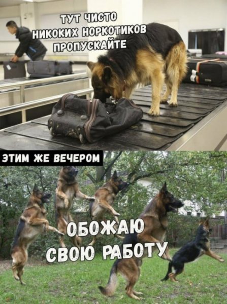 Приколы картинки с надписями