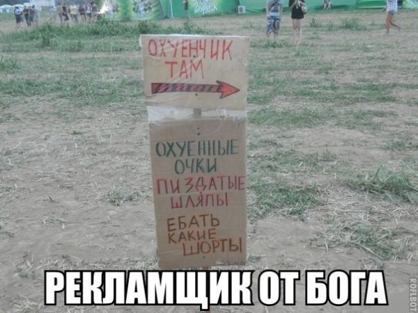 Две собаки смеются