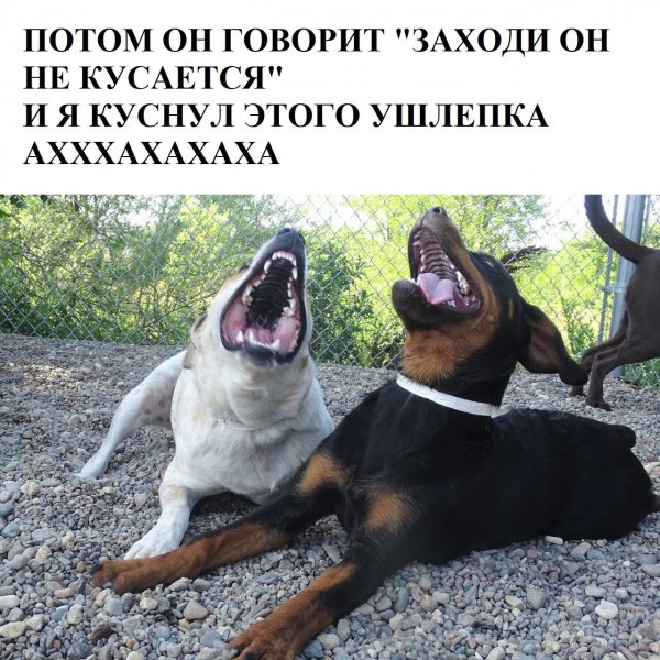 Смешная ситуация страшная