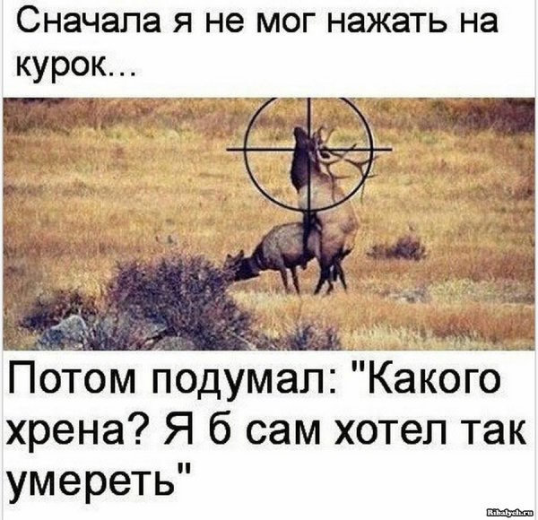 Мемы про черную икру