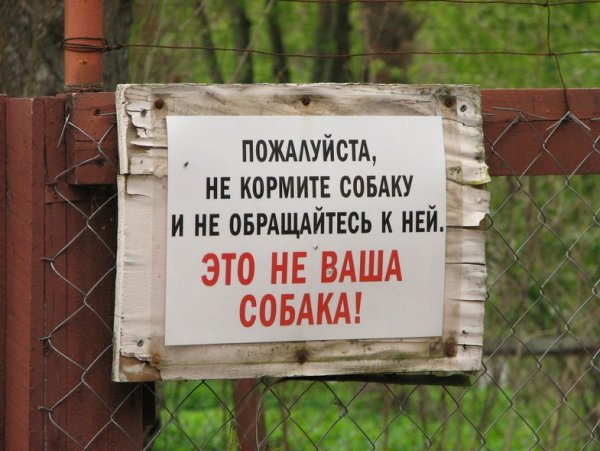 Коротко о погоде фото