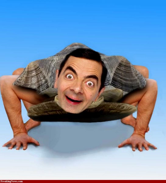 Смешной фотомонтаж