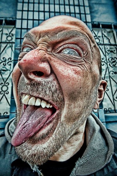 Собака в каске на мотоцикле