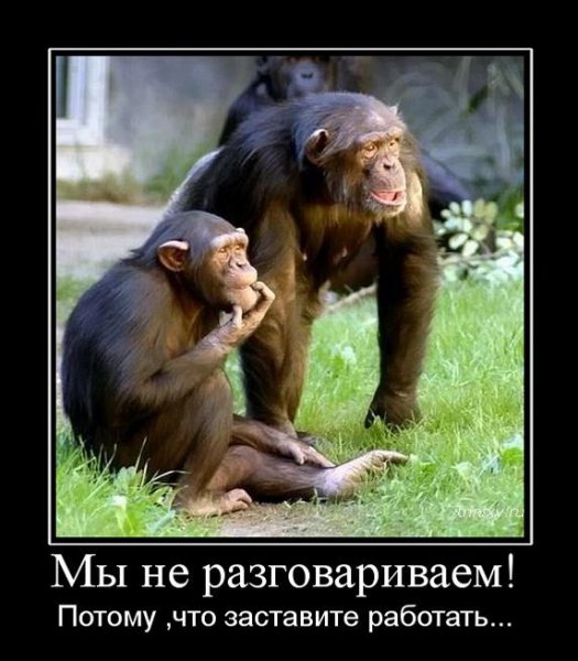 Обезьяна с надписью