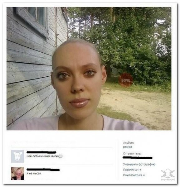 Фото для комментариев в ВК