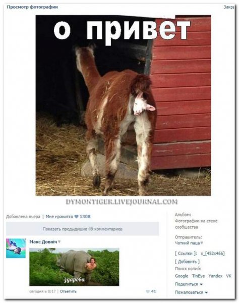 Прикольные комментарии к фотографиям