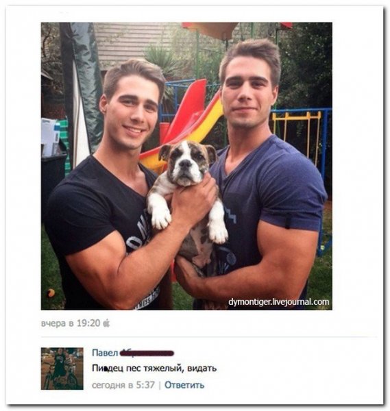 Смешные комменты к фото