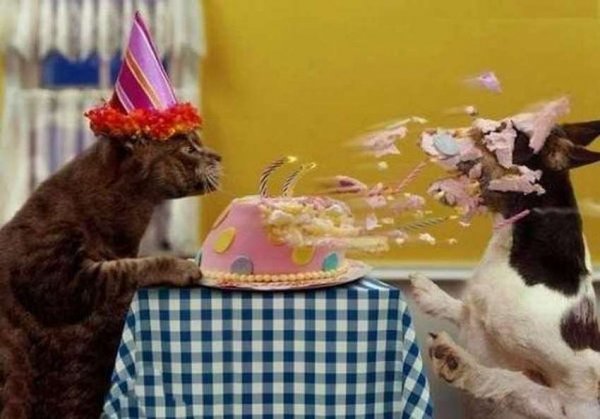 С днем рождения смешно