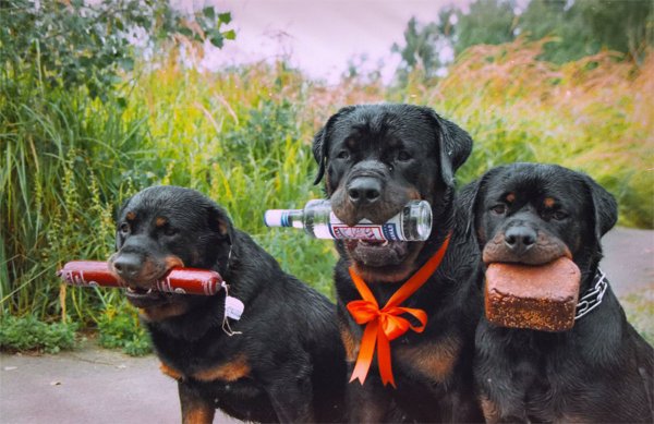 Приколы про друзей